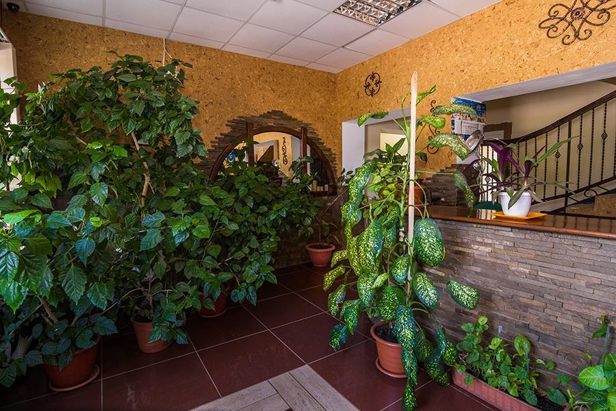 Citadella Hotel Skadovs'k Luaran gambar